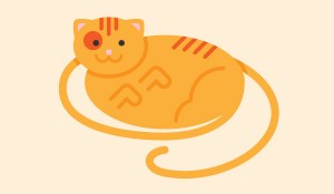 Advanta Advertising long-tail keyword cat graphic